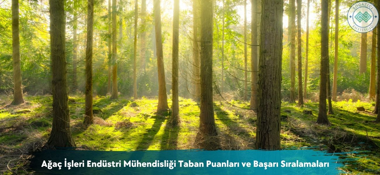Ağaç İşleri Endüstri Mühendisliği 2026 Taban Puanları ve Sıralama