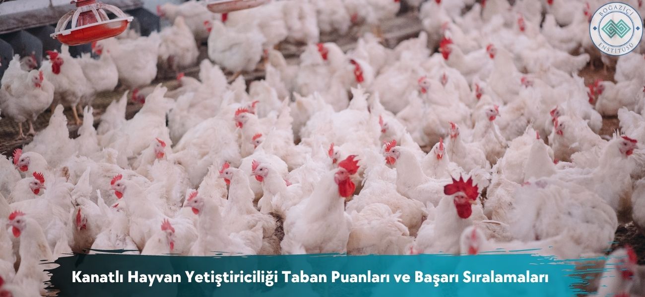Kanatlı Hayvan Yetiştiriciliği 2026 Taban Puanları ve Sıralaması