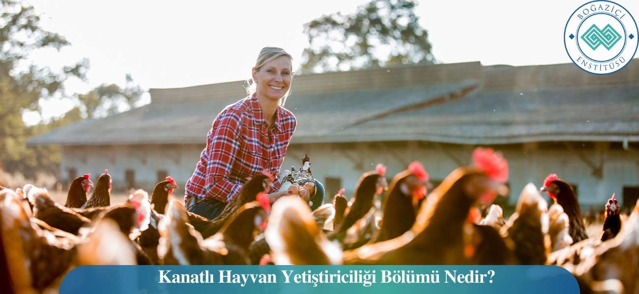 Kanatlı Hayvan Yetiştiriciliği Bölümü Nedir? Kanatlı Hayvan Yetiştiriciliği Bölümü Nedir?