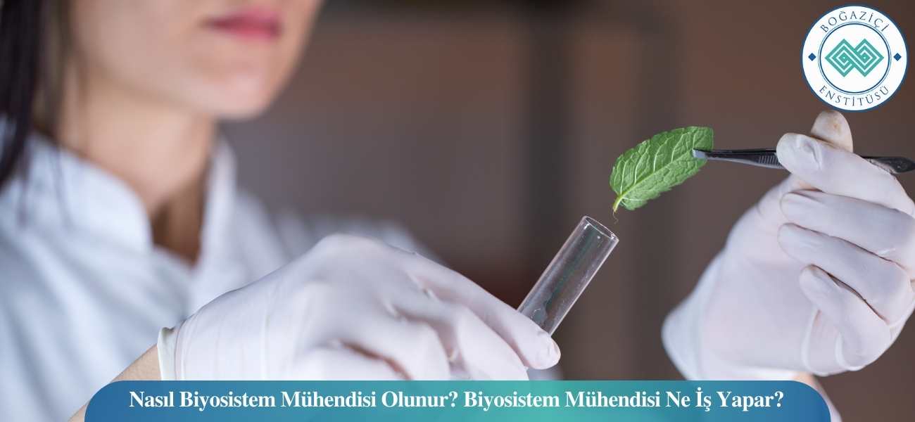Nasıl Biyosistem Mühendisi Olunur? Biyosistem Mühendisi Ne İş Yapar? Nasıl Biyosistem Mühendisi Olunur? Biyosistem Mühendisi Ne İş Yapar?