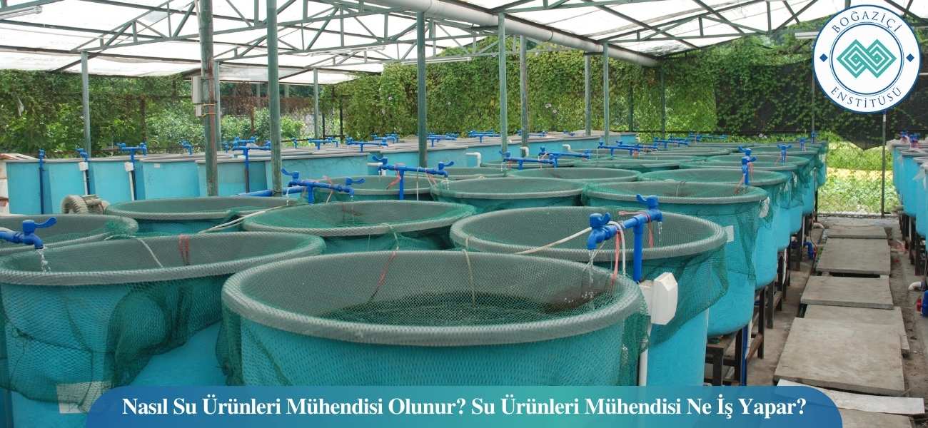 Nasıl Su Ürünleri Mühendisi Olunur? Su Ürünleri Mühendisi Ne İş Yapar? Nasıl Su Ürünleri Mühendisi Olunur? Su Ürünleri Mühendisi Ne İş Yapar?
