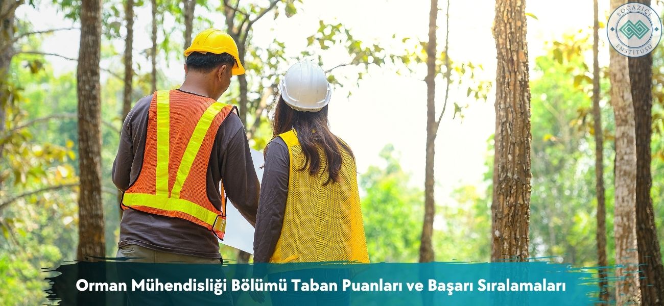 Orman Mühendisliği Bölümü 2026 Taban Puanları ve Sıralamaları