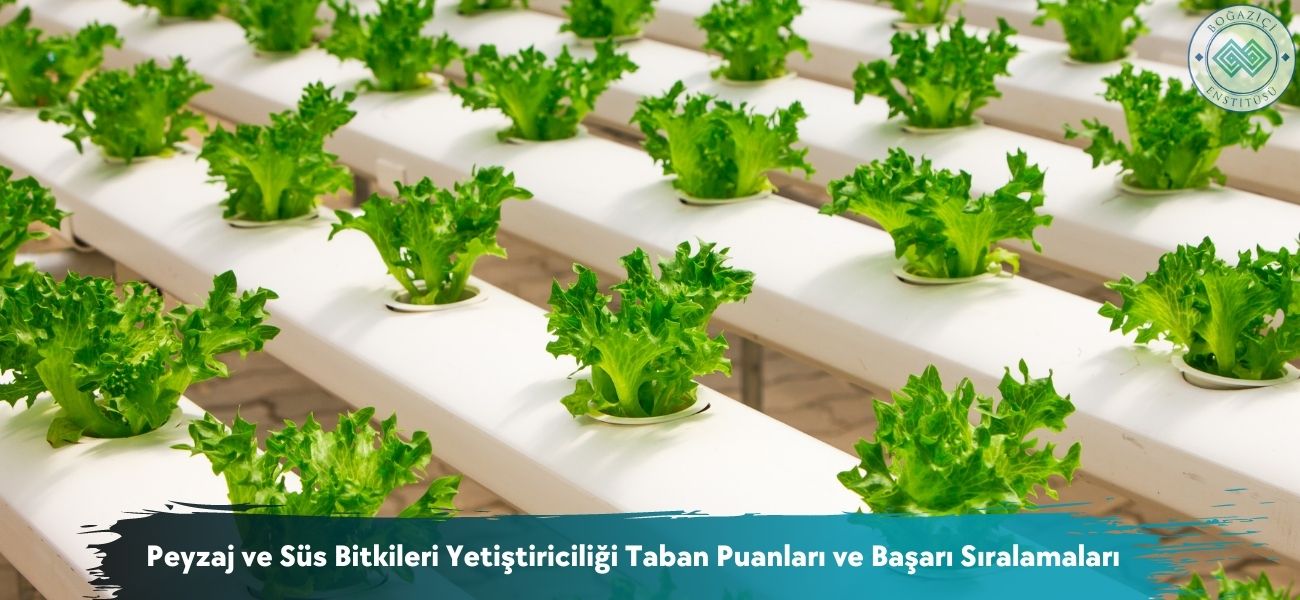 Peyzaj ve Süs Bitkileri Yetiştiriciliği 2026 Taban Puanları 