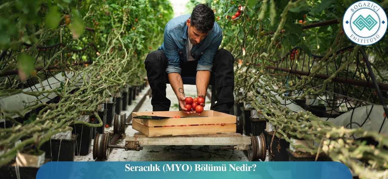 Seracılık (MYO) Bölümü Nedir? Seracılık (MYO) Bölümü Nedir?