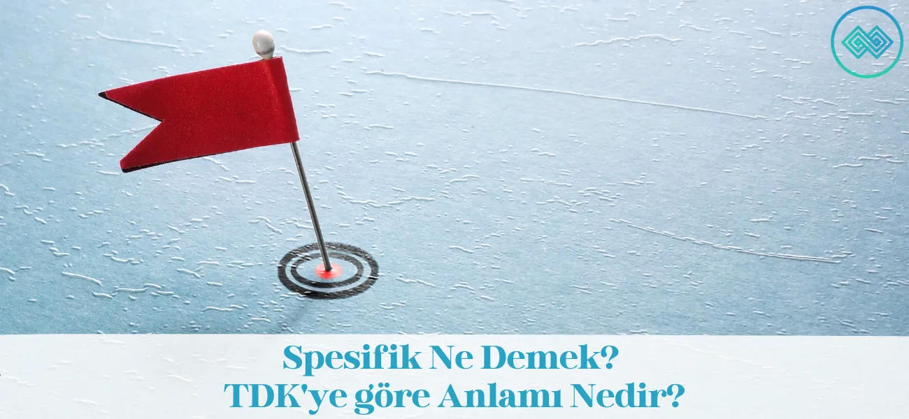 Spesifik Ne Demek? TDK'ye göre Anlamı Nedir? Spesifik Ne Demek? TDK'ye göre Anlamı Nedir?