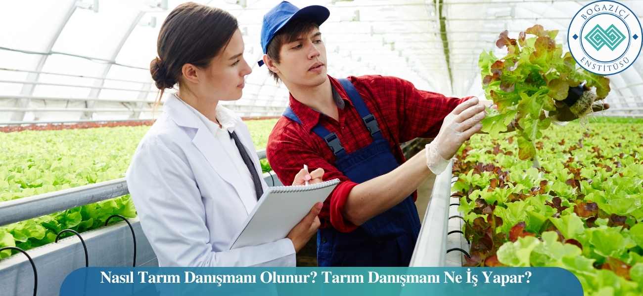 Nasıl Tarım Danışmanı Olunur? Tarım Danışmanı Ne İş Yapar?