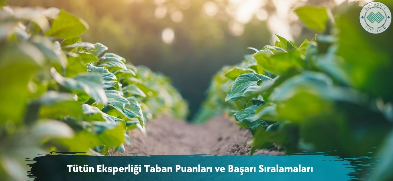 Tütün Eksperliği 2026 Taban Puanları ve Başarı Sıralamaları