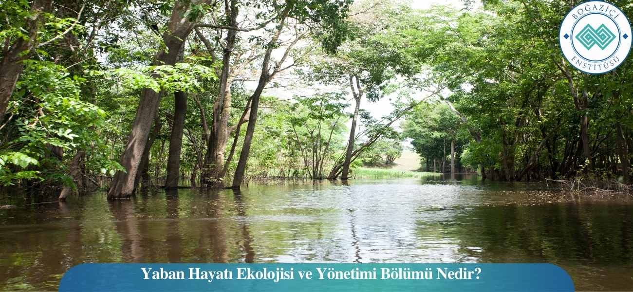 Yaban Hayatı Ekolojisi ve Yönetimi Bölümü Nedir?