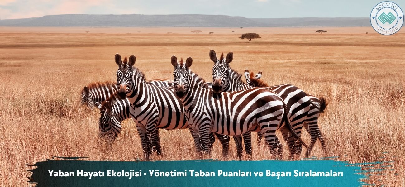 Yaban Hayatı Ekolojisi - Yönetimi 2026 Taban Puanları ve Sıralama