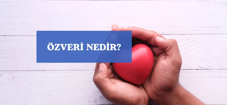 &ouml;zveri ne demek